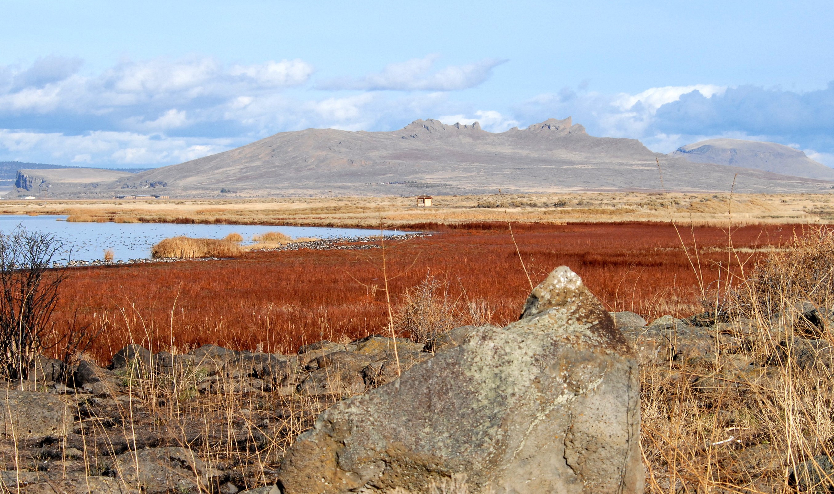 Tule Lake Refuge Peninsula (a) from Sump 1B1.jpg FWS.gov